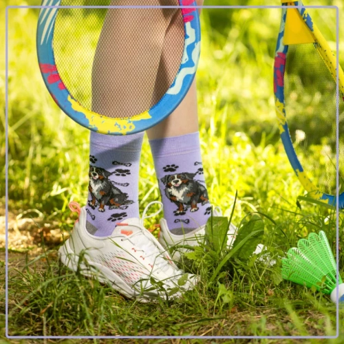 Skarpetki Berneński Pies Pasterski Rozm. 35/40 Skarpety