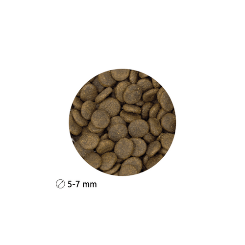 Prize French Buldog Adult Kaczka 2kg