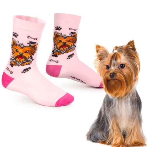 Skarpetki Yorkshire Terrier Rozm. 35/40 Skarpety