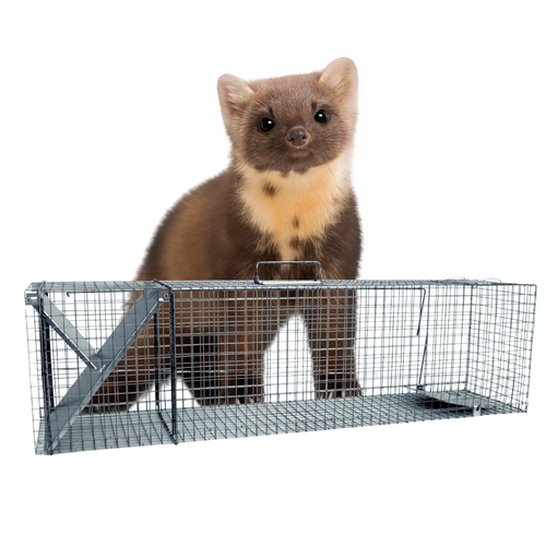 Żywołapka Pułapka na Kuny Dwuwejściowa