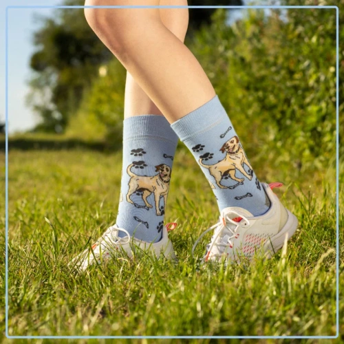 Skarpetki Labrador Retriever Rozm. 41/46 Skarpety