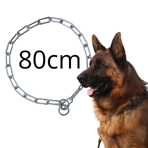 Zolux Obroża Metalowa Zaciskowa Dławik Łańcuch 80cm