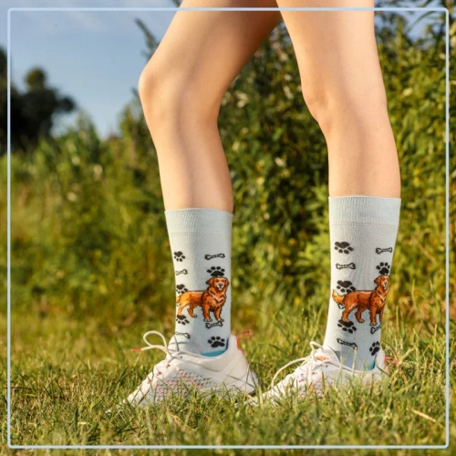 Skarpetki Golden Retriever Rozm. 41/46 Skarpety