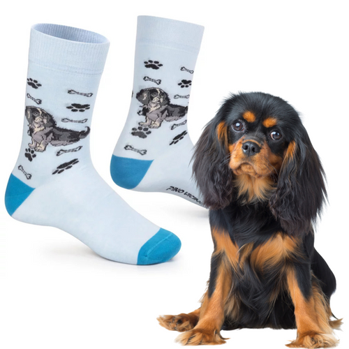 Skarpetki Cavalier King Charles Spaniel Rozm. 41/46 Skarpety