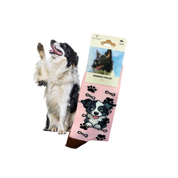 Skarpetki Border Collie Rozm. 35/40