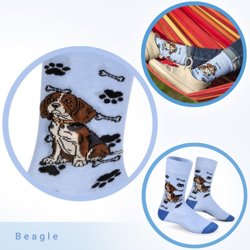 Skarpetki Beagle Rozm. 41/46 Skarpety