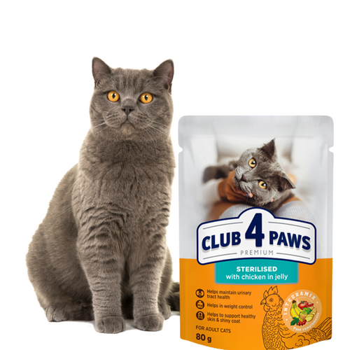 CLUB 4 PAWS Karma Mokra dla Kota „STERILISED” KURCZAK W GALARETCE 80 g