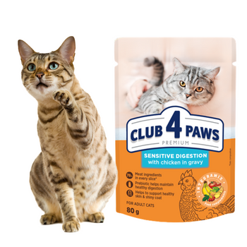 CLUB 4 PAWS Karma Mokra dla Kota „SENSITIVE DIGESTION” KURCZAK W SOSIE 80 g