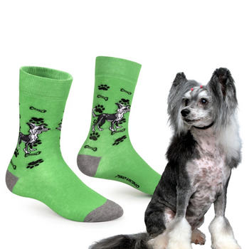 Skarpetki Grzywacz Chiński Rozm. 41/46 Skarpety