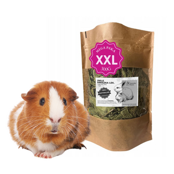 Ziele Mniszka Lekarskiego Dla Królików i Gryzoni 300g
