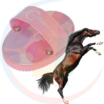 Covalliero Kids Zgrzebło dla Konia Lili Starlight