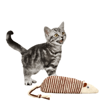 Drapak Myszka Zabawka dla Kota