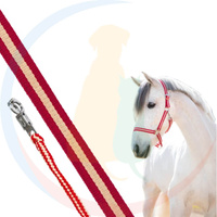 Covalliero Zestaw Kantar + Uwiąz dla Konia Hippo Full Bezpieczny Karabińczyk Bordo/Beż