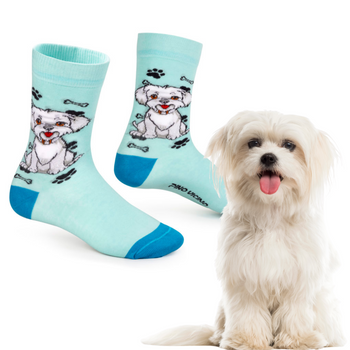 Skarpetki Maltańczyk Rozm. 35/40 Skarpety