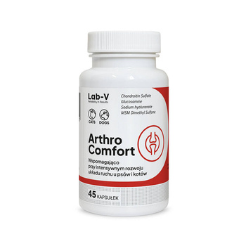 Lab-V Arthro Comfort Wsparcie Stawów dla Psa i Kota 45 Kapsułek 