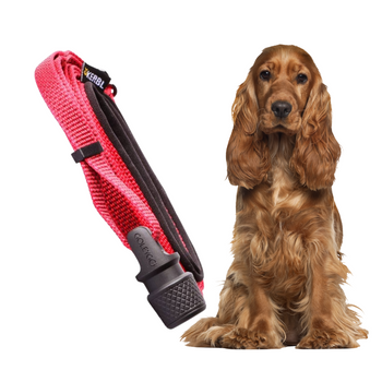 Smycz BEZPIECZEŃSTWA GO LEY GO Magnetyczna Taśma S do 15kg Czarna