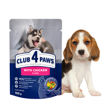CLUB 4 PAWS Karma Mokra dla Szczeniąt Indyk w Sosie100g