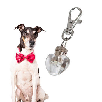 Świecąca Zawieszka do Obroży LED Serce