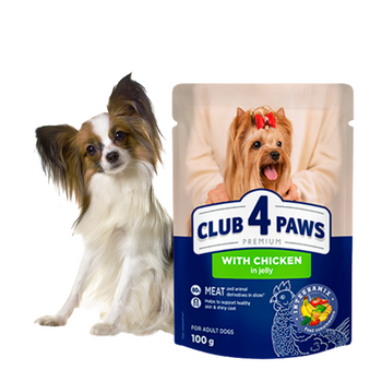 CLUB 4 PAWS Karma Mokra dla Psa Kurczak w Galaretce 100g