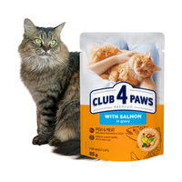 CLUB 4 PAWS Karma Mokra dla Kota ŁOSOŚ W SOSIE 85 g