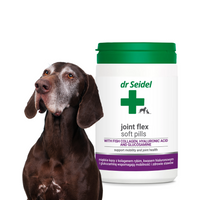 Dr Seidel Miękkie Tabletki na Stawy dla Psów i Kotów 225g