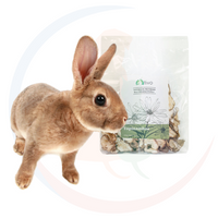 Tivo Topinambur 100g