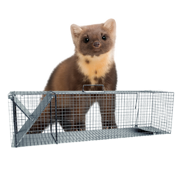 Żywołapka Pułapka na Kuny Dwuwejściowa