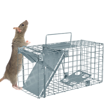 Żywołapka Pułapka na Szczury Jednowejściowa