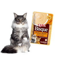 Inaba Ciao Bisque Kremowa Zupa z Kurczakiem dla Kota 40g