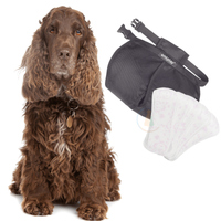 Amiplay Majtki na Cieczkę M