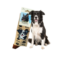 Skarpetki Border Collie Rozm. 41/46
