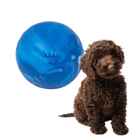 Pet Nova Piłka z Lanej Gumy Pływająca 5 cm