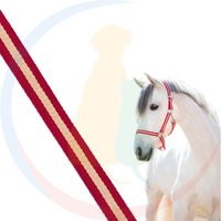 Covalliero Kantar dla Konia Hippo Taśmowy Bordo/Beż Full