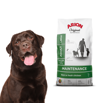 Arion Original Maintenance Adult Large Chicken 12kg
