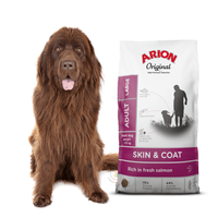 Arion Original Skin & Coat Adult Large Salmon 12kg