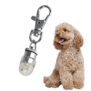 Świecąca Zawieszka do Obroży LED 