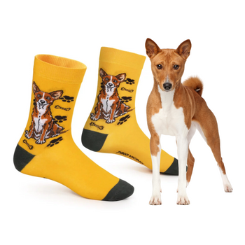Skarpetki Basenji Rozm. 35/40 Skarpety