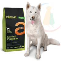 Alleva Natural Adult Medium/Maxi Lamb & Pumpink 12kg