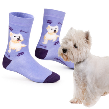 Skarpetki West Highland White Terier Rozm. 35/40 Skarpety