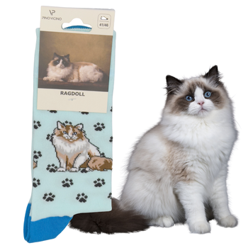 Skarpety Kot Ragdoll Rozm. 41-46