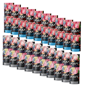 Dolina Noteci Rafi Mokra Karma dla Psa Mix Smaków 40x500g