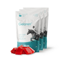 Geloren HA Horse Suplement na Stawy dla Koni 3x450g Wiśniowy