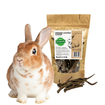Korzeń Mniszka Przysmak dla Królików i Gryzoni 100g