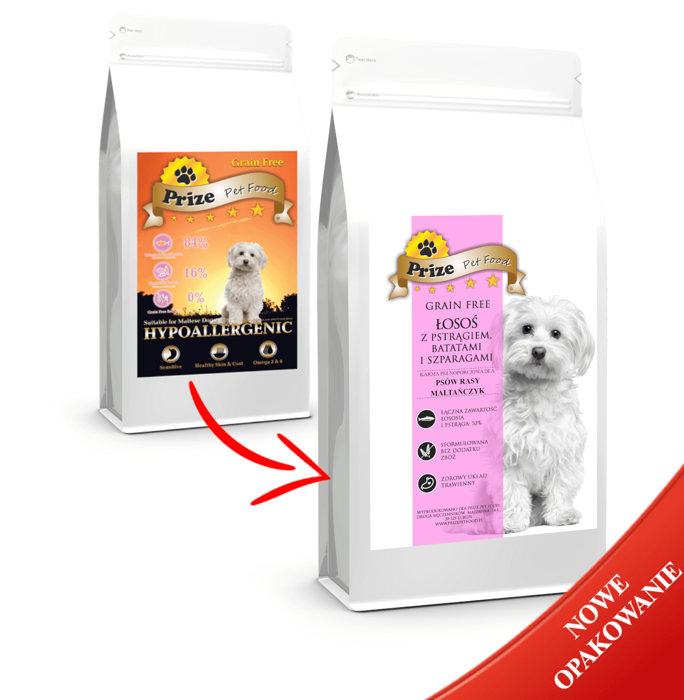 Prize Maltese Adult Karma Sucha