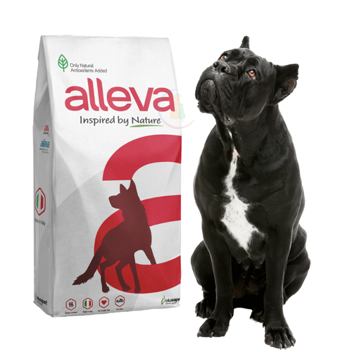 Alleva Care Renal-ANTIOX karma dla Psa 12kg