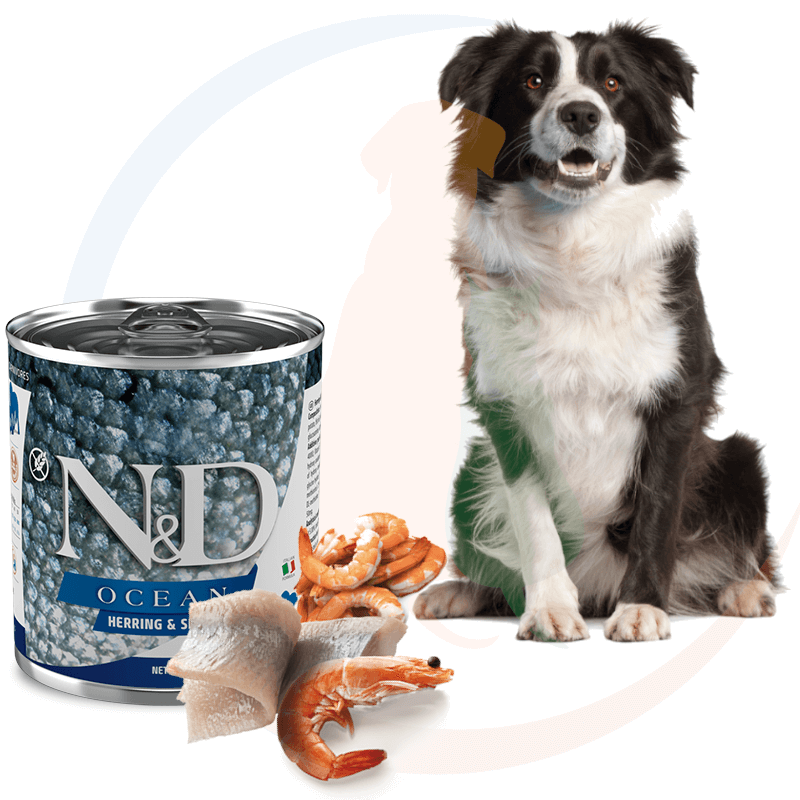 Farmina N&D Dog Ocean Herring&Shrimp Mokra Karma dla Psa 285g