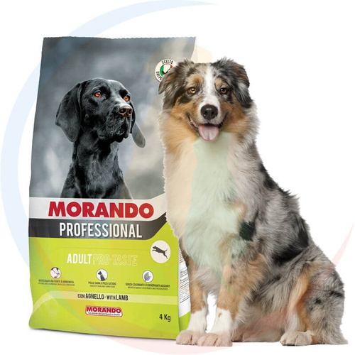 Morando Pro Sucha Karma dla Psów Pro-Taste z Jagnięciną 4 kg
